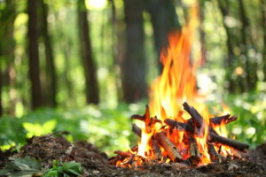 Summer Camp Bethesda MD - Bonfire in the forest.